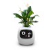 Робот ассистент питомец PLANTSIO Ivy цветочный горшок с искусственным интеллектом, жёлтый