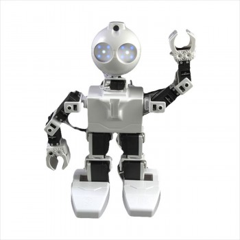 EZ-Робот JD Человекоподобный робот