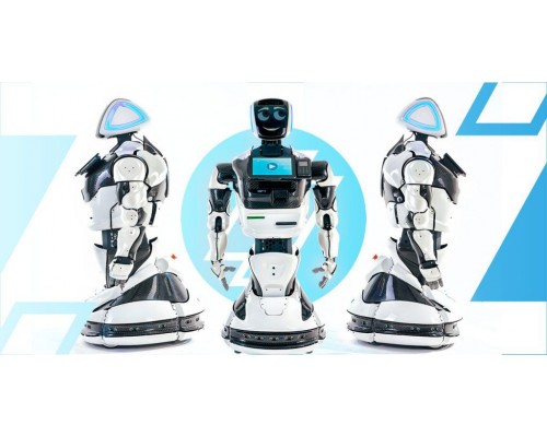 Бизнес-робот Promobot V4