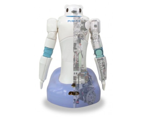 Робот-медбрат RIBA