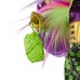 Кукла Mattel Ever After High Clawvenus - Freaky Fusion
