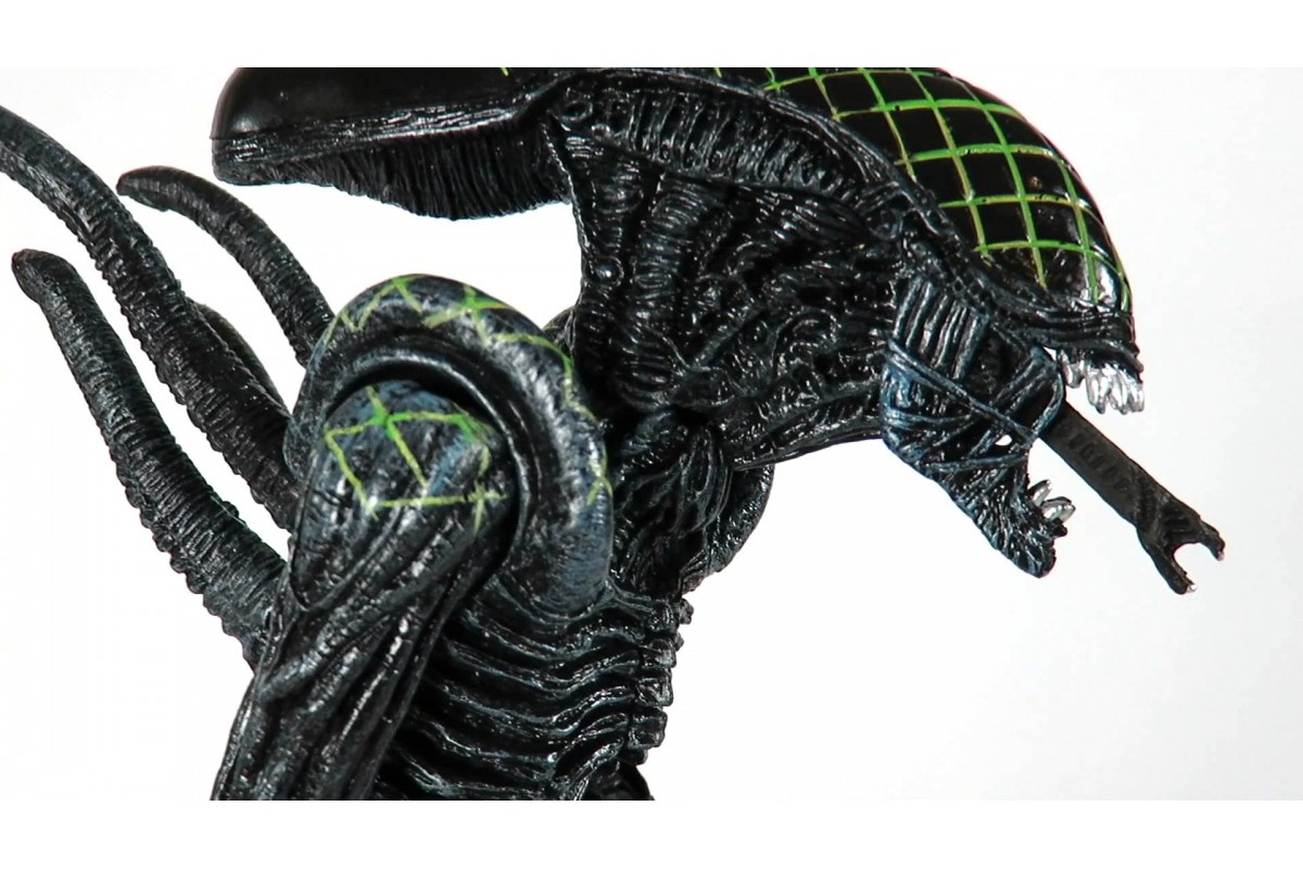 Плагиат чужого. Ксеноморф. Грид. Фигурка AVP Alien. Фигурка AVP Warrior Alien - чужой (23см). Фигурка NECA Alien​ vs Predator​ Chrysalis Alien 51678.