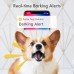 Furbo Dog Camera - умная камера для собак с функцией прикорма