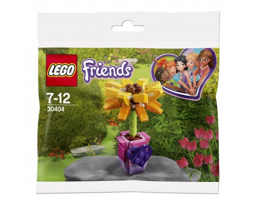 Конструктор LEGO Friends 30404 Цветок дружбы
