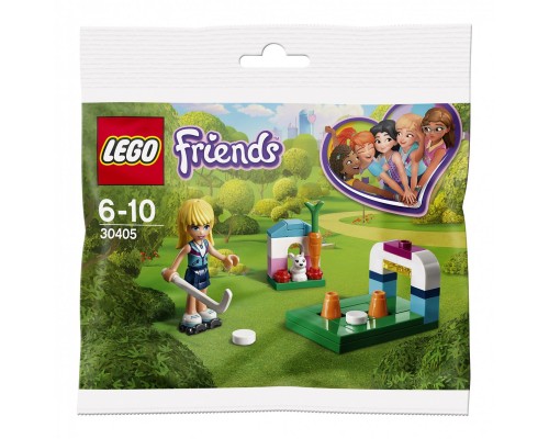 Конструктор LEGO Friends 30405 Хоккейная тренировка Стефани