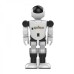 Робот INTELLIGENT ROBOT BOSS RK-01