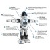 Робот INTELLIGENT ROBOT BOSS RK-01