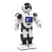 Робот INTELLIGENT ROBOT BOSS RK-01