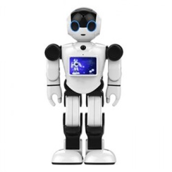 Робот INTELLIGENT ROBOT BOSS RK-01